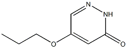 5-propoxypyridazin-3(2H)-one Struktur