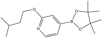 2-(isopentyloxy)-4-(4,4,5,5-tetramethyl-1,3,2-dioxaborolan-2-yl)pyridine Struktur