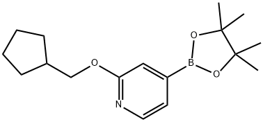 2-(cyclopentylmethoxy)-4-(4,4,5,5-tetramethyl-1,3,2-dioxaborolan-2-yl)pyridine Struktur