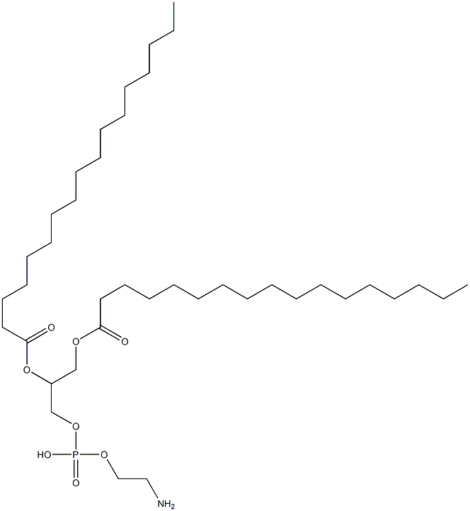 1,2-diheptadecanoyl-sn-glycero-3-phosphoethanolaMine Struktur