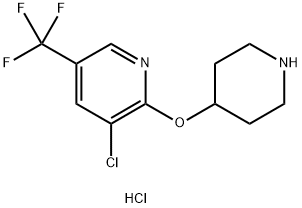 3-Chloro-2-(piperidin-4-yloxy)-5-trifluoroMethyl-pyridine hydrochloride Struktur