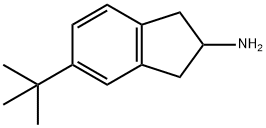 5-tert-butyl-2,3-dihydro-1H-inden-2-aMine Struktur