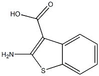 2-aMinobenzo[b]thiophene-3-carboxylic acid Struktur