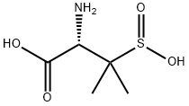 SulbactaM M-1 price.