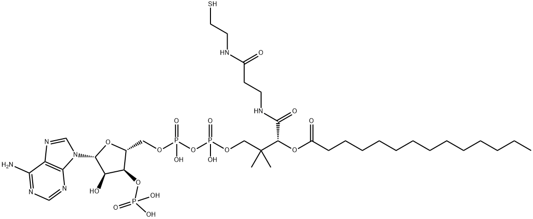 MYRISTOYL COENZYME A MONOHYDRATE* Struktur