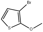 3-broMo-2-Methoxythiophene Struktur