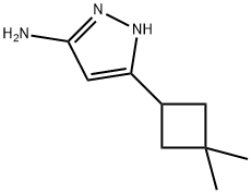 5-(3,3-DiMethylcyclobutyl)-1H-pyrazol-3-ylaMine Struktur