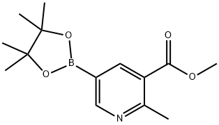 METHYL 2-METHYL-5-(4,4,5,5-TETRAMETHYL-1,3,2-DIOXABOROLAN-2-YL)NICOTINATE Struktur