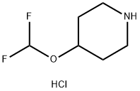 4-(DifluoroMethoxy)piperidine hydrochloride Struktur