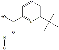 6-tert-Butyl-pyridine-2-carboxylic acid HCl Struktur