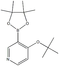 4-TERT-BUTOXY-3-(4,4,5,5-TETRAMETHYL-1,3,2-DIOXABOROLAN-2-YL)PYRIDINE Struktur