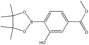 Methyl 3-hydroxy-4-(4,4,5,5-tetraMethyl-1,3,2-dioxaborolan-2-yl)benzoate Struktur