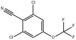 2,6-Dichloro-4-(trifluoroMethoxy)benzonitrile Struktur