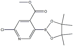 METHYL 2-CHLORO-5-(4,4,5,5-TETRAMETHYL-1,3,2-DIOXABOROLAN-2-YL)ISONICOTINATE Struktur