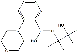 Morpholinopyridine-2-boronic acid pinacol ester Struktur