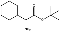 RS-Cyclohexylglycine 1,1-dimethylethyl ester Struktur