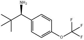 (1R)-2,2-DIMETHYL-1-[4-(TRIFLUOROMETHOXY)PHENYL]PROPYLAMINE Struktur