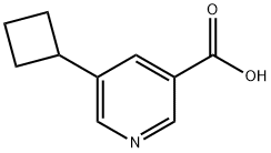 5-Cyclobutylnicotinic acid Struktur