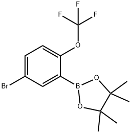 5-Bromo-2-trifluoromethoxyphenylboronic acid pinacol ester Struktur