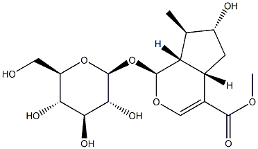 Cyclopenta[c]pyran-4-carboxylicacid, 1-(b-D-glucopyranosyloxy)-1,4a,5,6,7,7a-hexahydro-6-hydroxy-7-methyl-,methyl ester, (1S,4aS,6R,7R,7aS)- Struktur