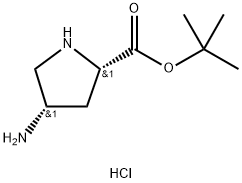 (4S)-4-amino- L-Proline 1,1-dimethylethyl ester, dihydrochloride Struktur