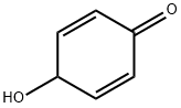 4-hydroxycyclohexa-2,5-dien-1-one Struktur