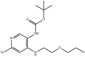 tert-butyl (6-chloro-4-((2-propoxyethyl)amino)pyridin-3-yl)carbamate Struktur