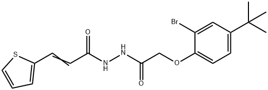 N'-[(2-bromo-4-tert-butylphenoxy)acetyl]-3-(2-thienyl)acrylohydrazide Struktur