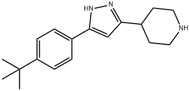 4-[5-(4-tert-Butyl-phenyl)-1H-pyrazol-3-yl]-piperidine Struktur