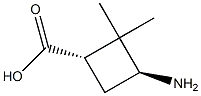 (1S, 3S)-3-Amino-2,2-dimethylcyclobutanecarboxylic acid Struktur