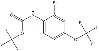 tert-Butyl (2-bromo-4-(trifluoromethoxy)phenyl)carbamate Struktur