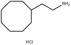 2-Cyclooctyl-ethylamine hydrochloride Struktur