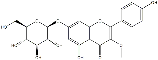 4',5,7-trihydroxy-3-methoxyflavone-7-O-beta-D-glucopyranoside Struktur