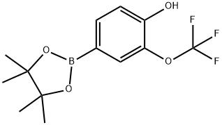 4-(4,4,5,5-tetramethyl-1,3,2-dioxaborolan-2-yl)-2-(trifluoromethoxy)phenol Struktur