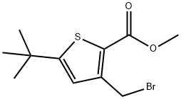 METHYL 3-(BROMOMETHYL)-5-(TERT-BUTYL)THIOPHENE-2-CARBOXYLATE Struktur