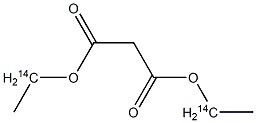 Diethyl [1-14C]malonate Struktur