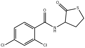 2,4-dichloro-N-(2-oxothiolan-3-yl)benzamide Struktur