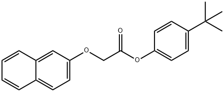 4-tert-butylphenyl (2-naphthyloxy)acetate Struktur