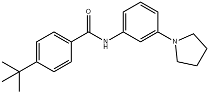 4-tert-butyl-N-[3-(pyrrolidin-1-yl)phenyl]benzamide Struktur