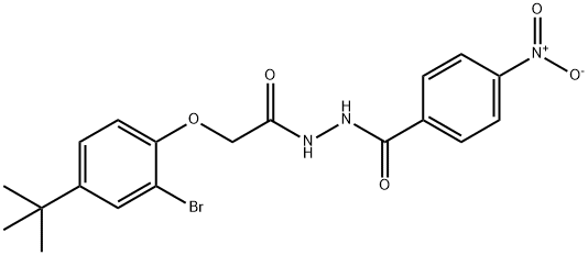 N'-[(2-bromo-4-tert-butylphenoxy)acetyl]-4-nitrobenzohydrazide Struktur