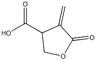 3-Furoic acid, tetrahydro-4-methylene-5-oxo- Struktur