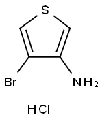 4-bromothiophen-3-amine hydrochloride Struktur