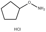 O-Cyclopentylhydroxylamine hydrochloride Struktur