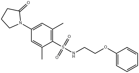 2,6-dimethyl-4-(2-oxopyrrolidin-1-yl)-N-(2-phenoxyethyl)benzenesulfonamide Struktur