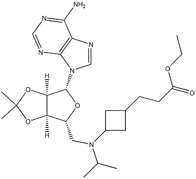 ethyl 3-(3-((((3aR,4R,6R,6aR)-6-(6-amino-9H-purin-9-yl)-2,2-dimethyltetrahydrofuro[3,4-d][1,3]dioxol-4-yl)methyl)(isopropyl)amino)cyclobutyl)propanoate Struktur