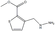 methyl 3-(hydrazinylmethyl)thiophene-2-carboxylate Struktur