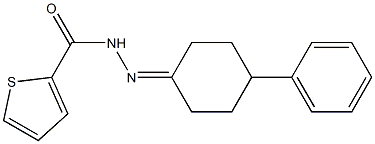 N'-(4-phenylcyclohexylidene)thiophene-2-carbohydrazide Struktur