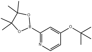 4-(tert-butoxy)-2-(4,4,5,5-tetramethyl-1,3,2-dioxaborolan-2-yl)pyridine Struktur