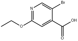 5-bromo-2-ethoxyisonicotinic acid Struktur