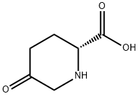 (2R)-5-Oxo-piperidine-2-carboxylic acid Struktur